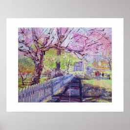 Póster Flores rosadas de Cercis en Williamsburg Virginia
