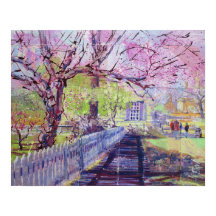 Flores rosadas de Cercis en Williamsburg Virginia