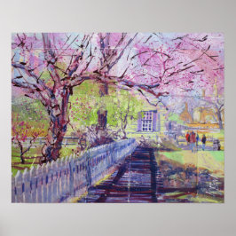 Póster Flores rosadas de Cercis en Williamsburg Virginia