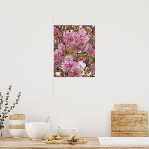 Póster Flores rosadas de cerezo