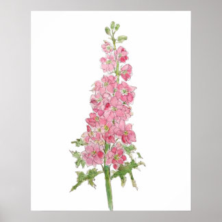 Póster flores rosadas de larkspur acuarela y tinta