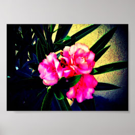 Póster Flores rosas