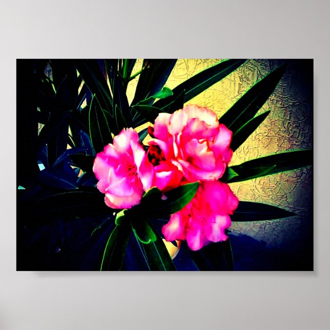 Póster Flores rosas (Frente)