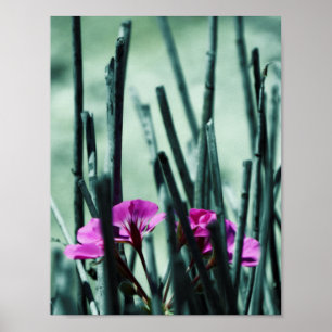 Póster Flores rosas