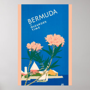 Póster Flores rosas de la playa de Viajes Vintage de Berm