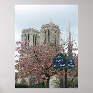 Póster Flores rosas en Notre Dame