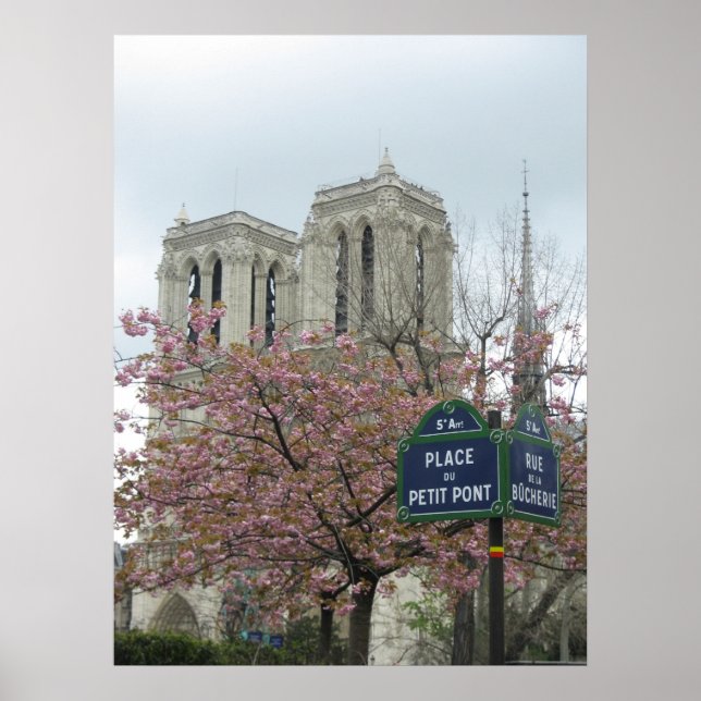 Póster Flores rosas en Notre Dame (Frente)