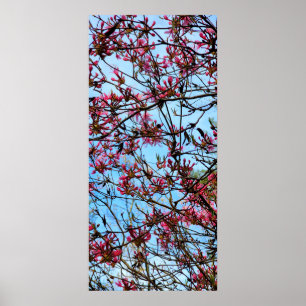 Póster Flores rosas en un árbol