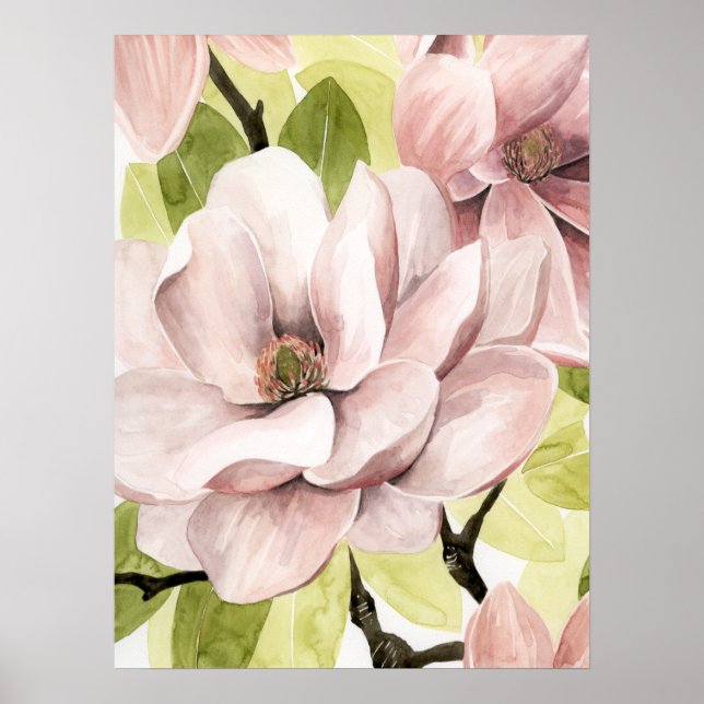 Póster Flores Rubor Magnolia (Frente)