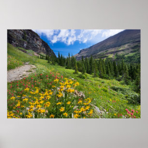 Póster Flores   Ruta de las flores de Montana