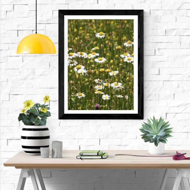 Póster Flores salvajes de margarita blanca (Subido por el creador)
