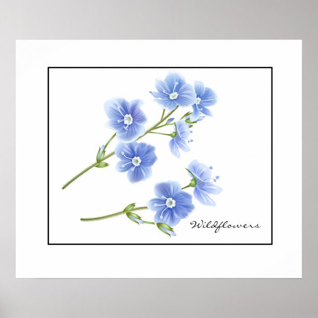 Póster Flores salvajes poster-azules (Frente)