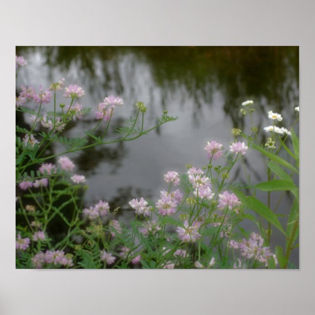 Póster Flores salvajes rosas cerca de Brook (Frente)