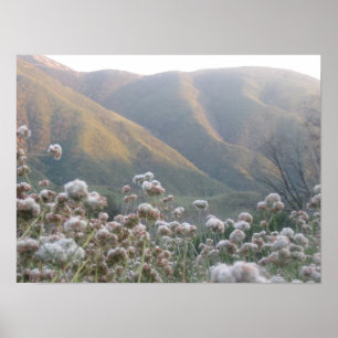 Póster Flores salvajes sobre la pequeña montaña