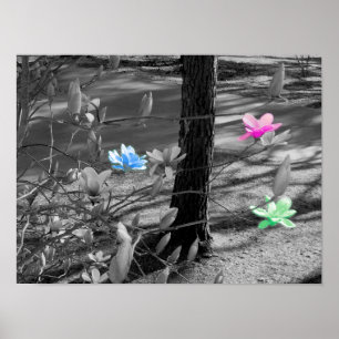 Póster Flores seleccionadas