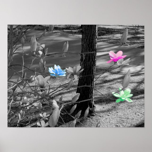 Póster Flores seleccionadas (Frente)