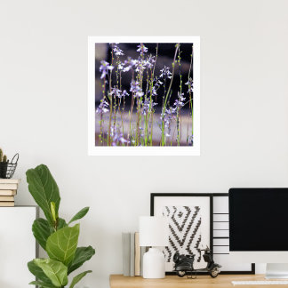 Póster Flores silvestres