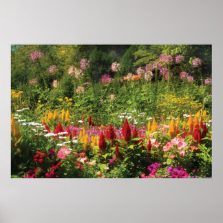 Póster Flores Silvestres