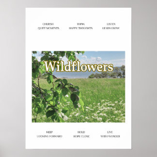 Póster Flores silvestres