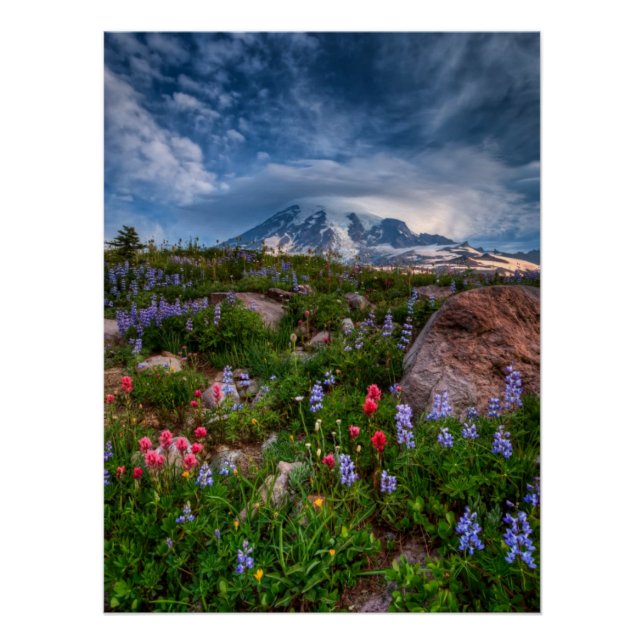 Póster Flores silvestres (Anverso)