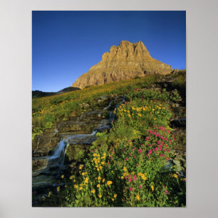 Póster Flores silvestres alpinas y Mt Clements en Logan P