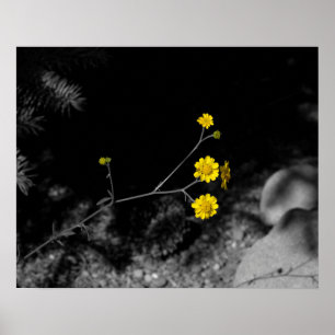 Póster Flores silvestres amarillas bajo un árbol coloread