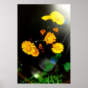 Póster Flores silvestres bajo el sol