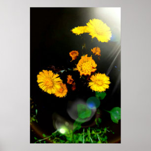 Póster Flores silvestres bajo la luz del sol