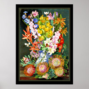 Póster Flores silvestres de Ceres, Sudáfrica