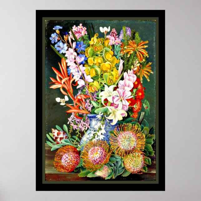 Póster Flores silvestres de Ceres, Sudáfrica (Frente)