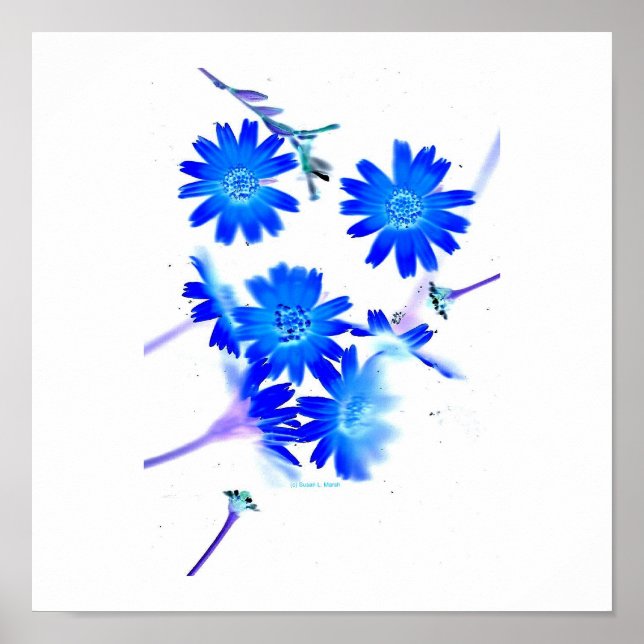 Póster Flores silvestres de color azul diseminadas (Frente)