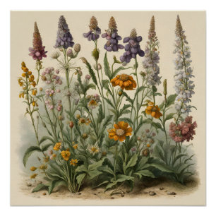 Póster Flores silvestres de época