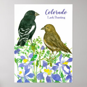 Póster Flores silvestres de grandes conglomerados de Colo