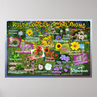 Póster Flores silvestres de Oklahoma Poster 19v2