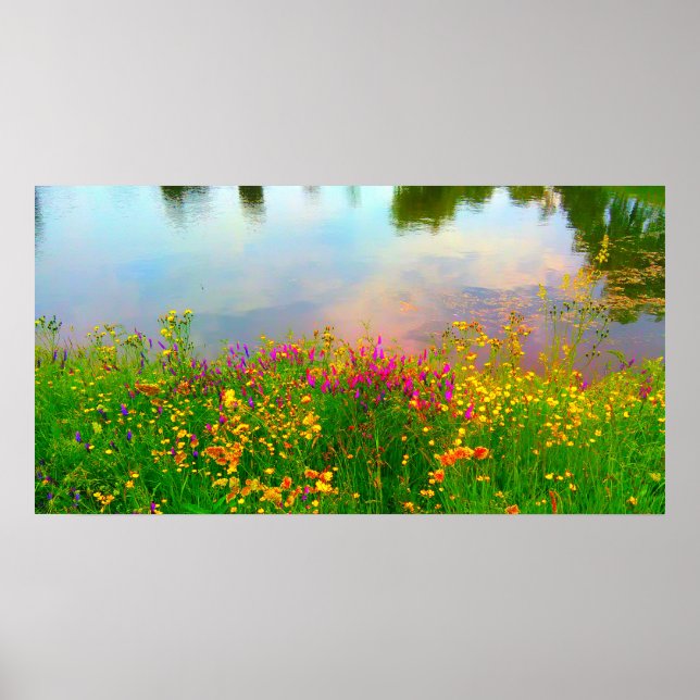 Póster Flores silvestres de verano y estanques (Frente)