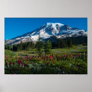 Póster Flores silvestres del Monte Rainer
