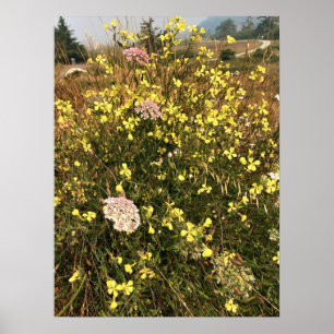 Póster Flores silvestres en Cabo Blanco, Costa de Oregón