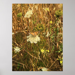 Póster Flores silvestres en Cabo Blanco, Costa de Oregón