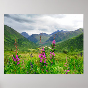 Póster Flores silvestres en el valle de Alaskan
