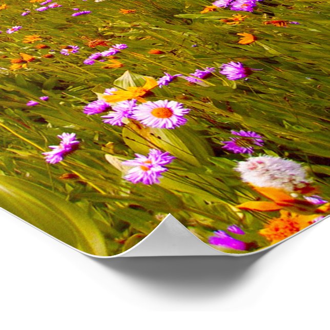 Póster Flores silvestres en pradera de montaña - Amarillo (Esquina)