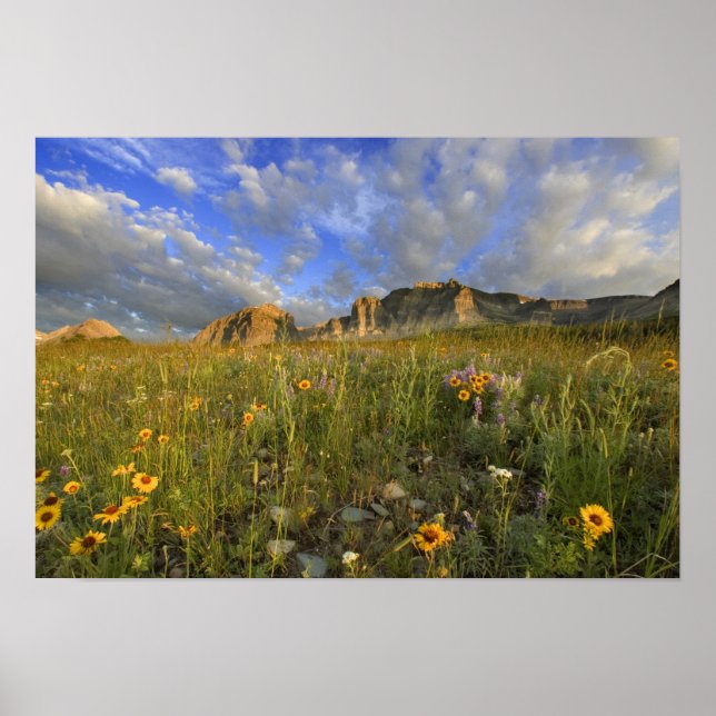 Póster Flores silvestres en Windy Creek en los muchos (Frente)