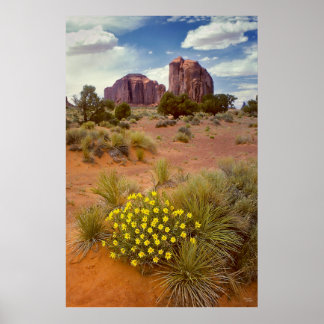 Póster Flores silvestres - Valle del Monumento - Arizona