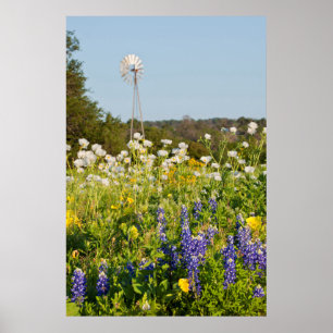 Póster Flores Silvestres Y Molino De Viento En Texas Hill