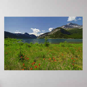 Póster Flores silvestres y montañas