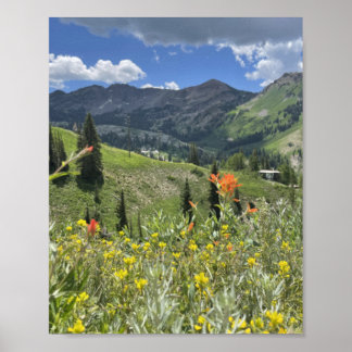 Póster Flores silvestres y montañas de Utah