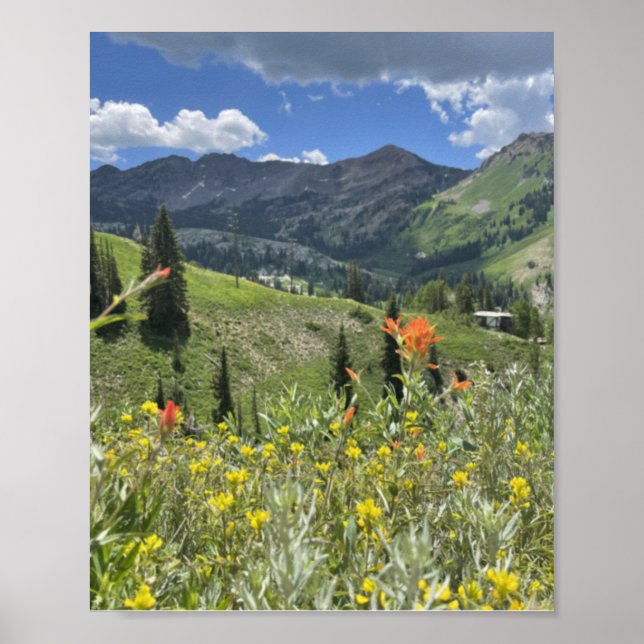 Póster Flores silvestres y montañas de Utah (Frente)