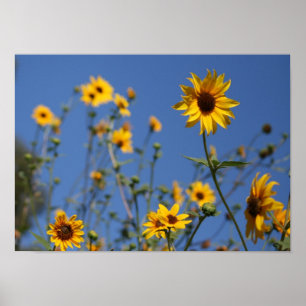 Póster "Flores soleadas"