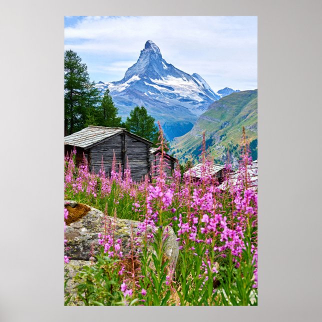 Póster Flores | Summer Matterhorn Suiza (Frente)