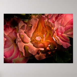 Póster Flores traseras n.º 40 Versión de color