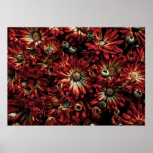 Póster Flores traseras No Versión 88 Color